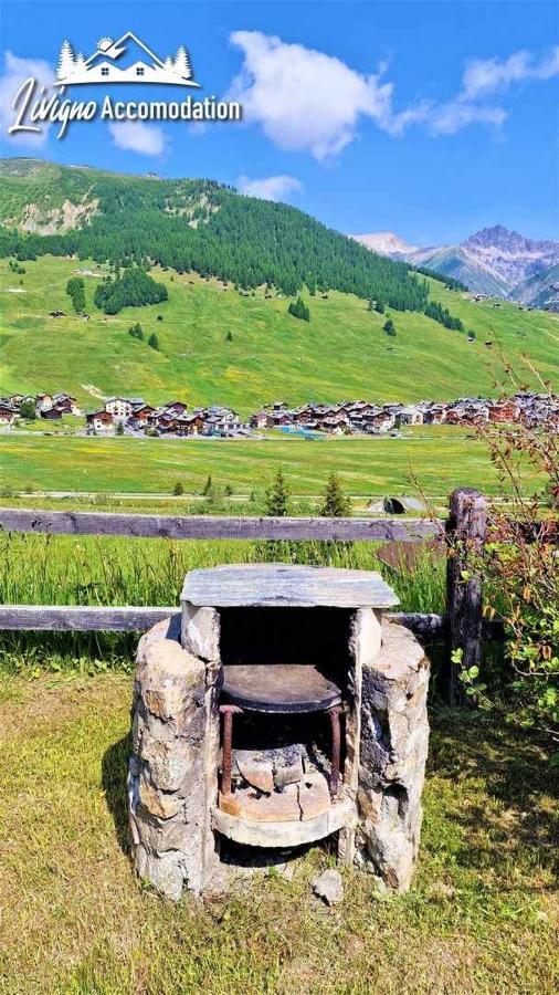 Chalet Rododendro Forest By Livigno Accomodation Exteriör bild